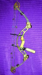 Hoyt XT2000 SuperTec RH Bow 60-70 LBS 29”DL *Perfect Condition!* + 28″ Cams