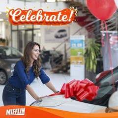Usa Big Car Bow Red, 23 Inch Gift Bow, Giant Bow for Car, Birthday Bow, Huge …
