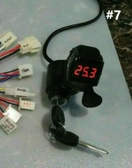 24V – 500 Watt Controller and Digital throttle (Brushed Motor) Ebike Scooter