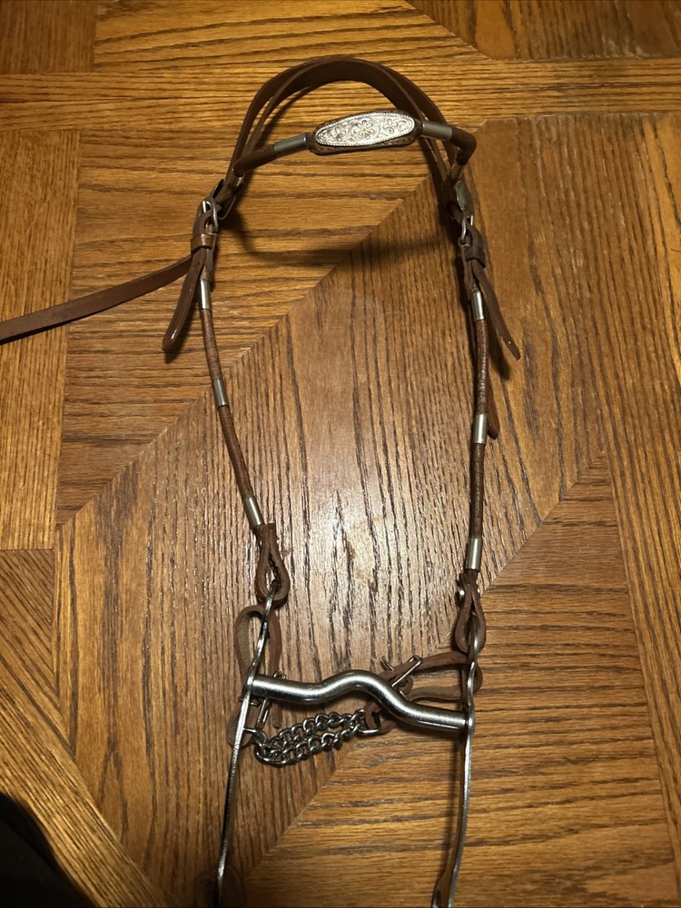 Beautiful Vintage Western Bridle With Silver