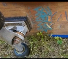 Vintage 1980s Schmitt Stix Yard Stix Skateboard Independent Slime Balls Vomits