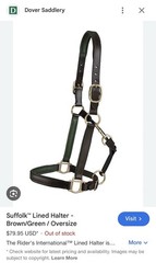 Dover Saddlery Suffolk Padded Leather Halter – Full Horse Size Green Brown
