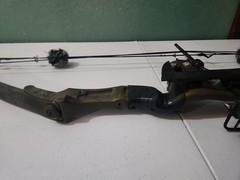 VINTAGE BEAR Whitetail II Compound Hunting Bow As Is Untested See Pictures