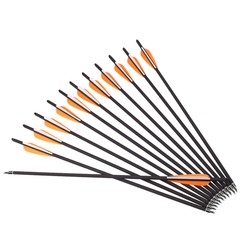 12Pcs 20 INCH Crossbow Bolts OD 8.8mm Carbon Crossbow Archery Arrows Screw Tips