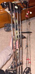 Bear Whitetail II Compound Bow Youth and Women Right Hand with Upgrades and Case