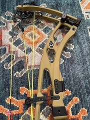 Hoyt Rx9 Ultra RH 40-50#