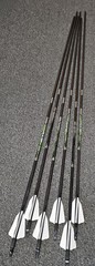 5 MM AXIS ARROWS BLAZER 2″ VANES, SIZE 260 READ DESCRIPTION BELOW