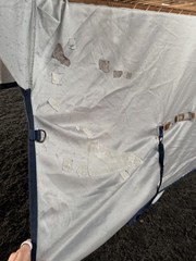 78” Bucas Buzz Off Full Neck Horse Fly Sheet – Used
