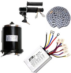 48V 1000W Brush Electric Motor & Controller Kit Trail Quad Golf MX350 E300 MX650
