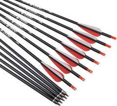 26 inch Carbon Arrow Hunting Arrows with 100 Grain Removable Tips for Archery…
