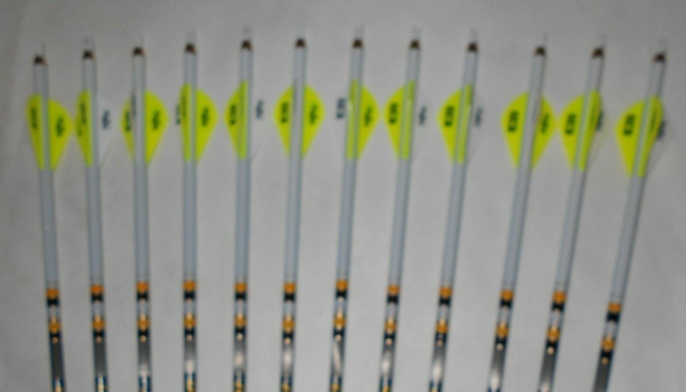 12 Gold Tip Hunter Pro 340 Carbon Arrows! Custom White Dip Crest/Blazer Vanes