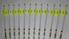 12 Gold Tip Hunter Pro 340 Carbon Arrows! Custom White Dip Crest/Blazer Vanes