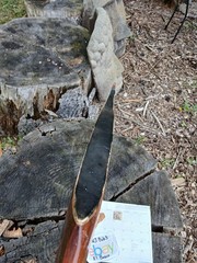 Vintage Ben Pearson Archery Javelina recurve 38#