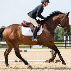 Half Pad for Saddle Correction Breathable, Non-Slip, Durable Quilted Design