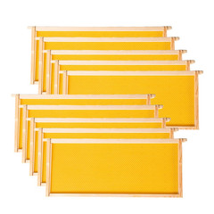 Deep Brood Beehive Frames with Wax Foundation,10 Pack Honey Bee Frames with 100%