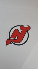 NHL Vinyl Hockey Logo Stickers