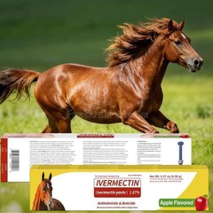 10 Pack New Paste Wormer Horse Dewormer Apple Flavor US Free Shipping EXP01/2028