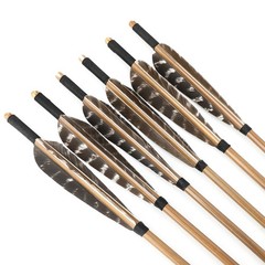 50X Archery Full Length Arrow Feathers Fletches Turkey Fletching Shaft DIY RW LW