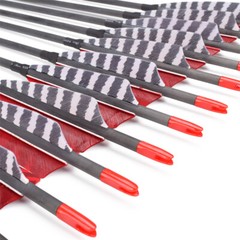 Archery Traditional Arrows 600 Spine Turkey Feather 30 Inch Carbon Shafts