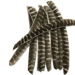 50X Full Length Arrow Feathers Turkey Fletches Fletching RW LW Archery Shaft DIY