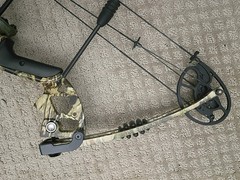 Predator Raptor Compund Bow Southland Archery Sight Tewax Biscuit Hunting