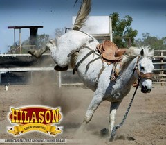 79HS Hilason Classic Series Hand-Made Rodeo Bronc American Leather Saddle