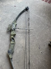 Vintage Bear Whitetail II Compound Bow 30″ Draw Length, 60# Draw, 38″ String