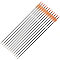12PCS 31″ Fiberglass Arrows SP700 Archery Target Practice Compound Recurve Bows