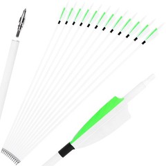 12X 30″ Archery Carbon Arrows Turkey Feather SP500 Recurve Bow Shooting Hunting