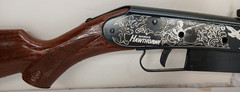 VTG DAISY MODEL 25 WARDS HAWTHORNE MALLARD DUCK STAMP EDITION BB GUN RIFLE