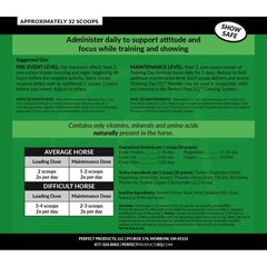 Perfect Prep Training Day Powder – 2 LB