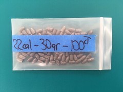 22 CAL 30 GRAIN .217″ HOLLOW POINT PELLETS FOR FX-SLUG BARRELS