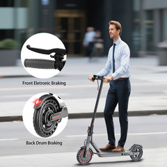 Ladped LP60 Electric Scooter Adult Folding 25KM/H EScooter 350W 8.5″ App Control