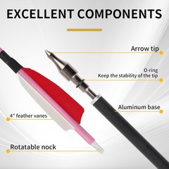 12 Pack Carbon Arrow Practice Hunting Arrow, 30″ Glow in Dark, Detachable Tip
