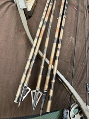 Alpine Archery Northwind Compound Bow with case