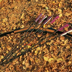 31″ Carbon Hunting Arrows with Turkey Feathers, 12 Pack