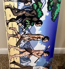 Supreme Evolution Skateboard Deck SS26 8.25 X 32 Brand New Sold Out