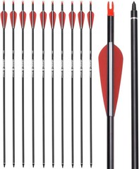 Carbon Arrows for Hunting & Target Practice – 26, 28, 30 Inch Options