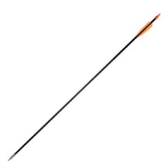 12Pcs 31inch Fiberglass Practice Arrows for Archery Target Shooting Recurve Bows