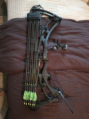 Rx9Ultra SpotHogg sight, Hamskea Epsilon drop-away rest, 28.5 Draw,65-75
