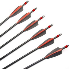 12pcs 30″ Fiberglass Hunting Practice Arrows With Removable Tip for Compound Bow