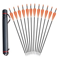 12Pcs 31″ Archery Fiberglass Arrows Spine 700 and Arrow Quiver Tube for Hunting