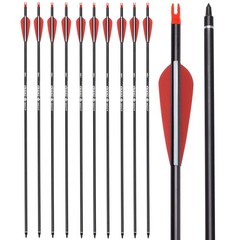 Carbon Arrow Hunting Target Practice Arrows 26 Inch with Removable Tips for C…