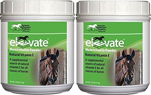 Kentucky Performance Products 2 Pack of Elevate Maintenance Power, 2 Pounds E…