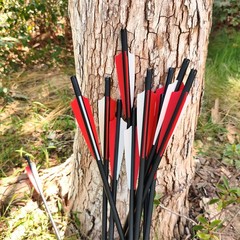 Archery Hunting 20Inch Crossbow Bolts Crossbow Arrows +/or 100 grain Broadheads