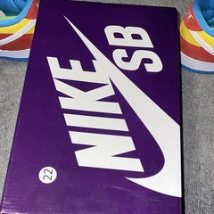 Nike SB Dunk Low Pro PRM Skate Shoes Multi-Color US 11 Medium (D, M)