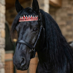 Red Crystal Horse Browband Bling Crown Style Rhinestone Leather Padded
