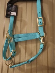 Dumor Premium Turquoise Nylon Halter With Snap Size LARGE
