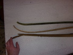 Wood and Fiber Glass Recurve Long Bow Lot for Repair or Wall Hangers