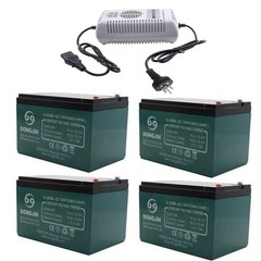 6-DZM-12 6-DZF-20 20Ah 12V 48V 12Ah 24AH Battery for ATV Scooter Dirt bike Golf
